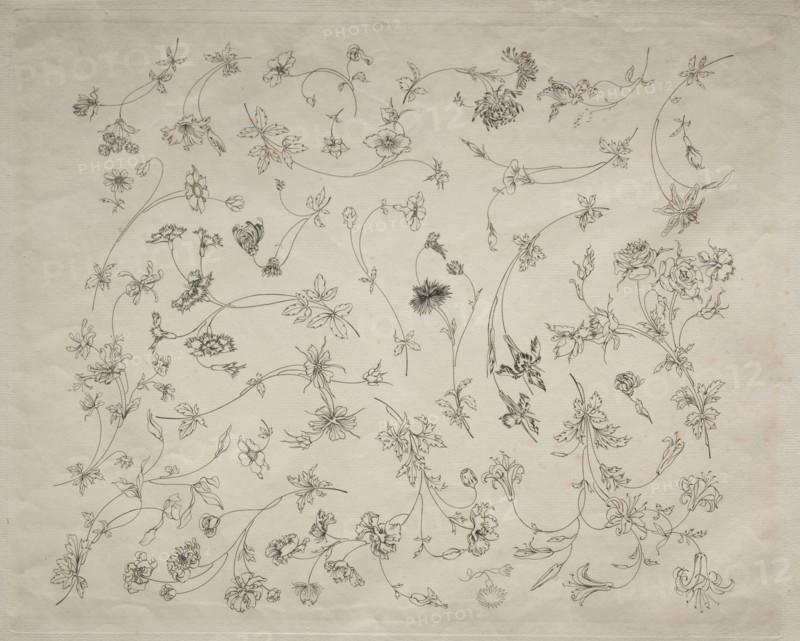 Flower designs for plates and borders (no. 14), 1872. Félix Bracquemond (French, 1833-1914). Etching; sheet: 35.2 x 45.8 cm (13 7/8 x 18 1/16 in.); platemark: 31 x 38.5 cm (12 3/16 x 15 3/16 in.).