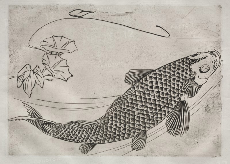 Dinner Service (Rousseau service): Large fish in a Japanese style (no. 19), 1866. Félix Bracquemond (French, 1833-1914). Etching; sheet: 35.4 x 48.2 cm (13 15/16 x 19 in.); platemark: 24.6 x 34.5 cm (9 11/16 x 13 9/16 in.)