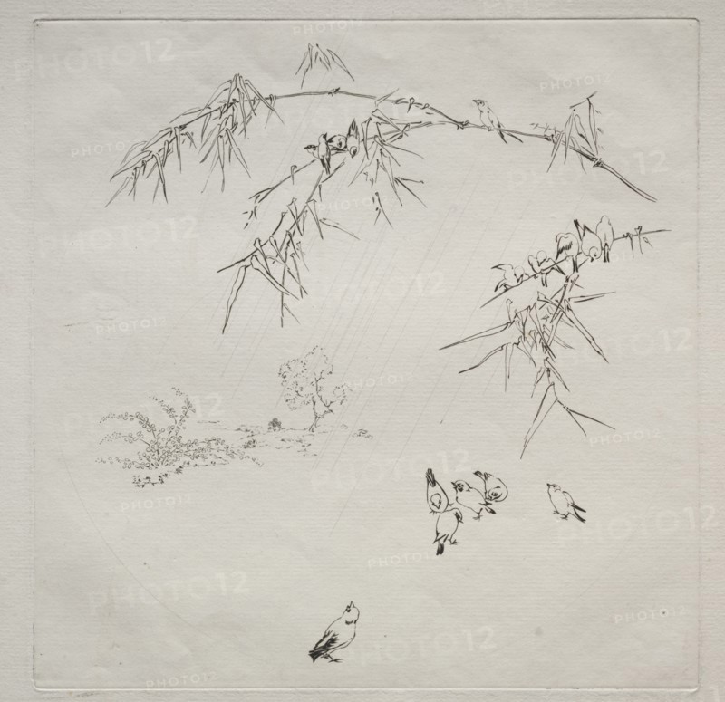 Parisian Service (Haviland service): Rain (no. 10), 1875. Félix Bracquemond (French, 1833-1914). Etching; sheet: 31.1 x 45.2 cm (12 1/4 x 17 13/16 in.); platemark: 25.2 x 25 cm (9 15/16 x 9 13/16 in.)