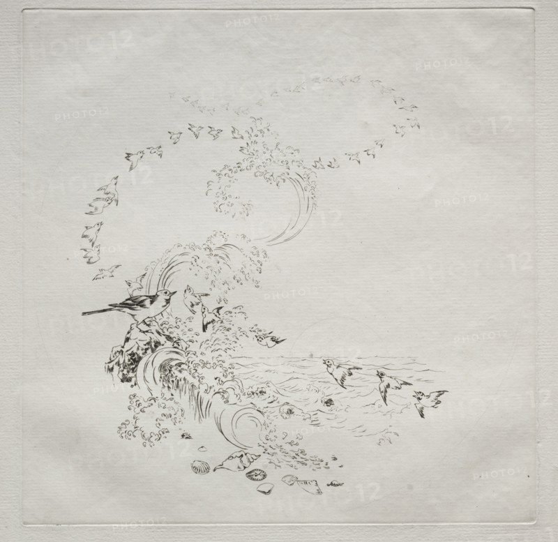 Parisian Service (Haviland service): Sunset (no. 11), 1875. Félix Bracquemond (French, 1833-1914). Etching; sheet: 31 x 45.4 cm (12 3/16 x 17 7/8 in.); platemark: 25.1 x 25 cm (9 7/8 x 9 13/16 in.)
