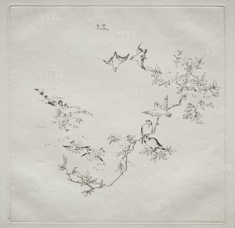Parisian Service (Haviland service): Sunrise (no. 12), 1875. Félix Bracquemond (French, 1833-1914). Etching; sheet: 31 x 45 cm (12 3/16 x 17 11/16 in.); platemark: 25.1 x 25 cm (9 7/8 x 9 13/16 in.)