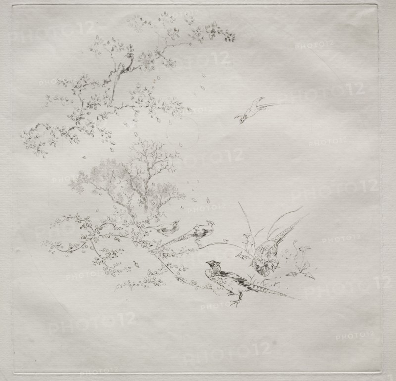Parisian Service (Haviland service): Fog (no. 1), 1875. Félix Bracquemond (French, 1833-1914). Etching; sheet: 31.1 x 46 cm (12 1/4 x 18 1/8 in.); platemark: 24.8 x 24.8 cm (9 3/4 x 9 3/4 in.).