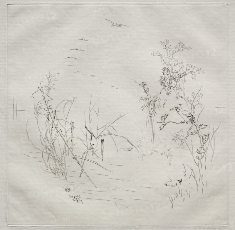 Parisian Service (Haviland service): Calm (no. 3), 1875. Félix Bracquemond (French, 1833-1914). Etching; sheet: 31 x 44.5 cm (12 3/16 x 17 1/2 in.); platemark: 24.6 x 24.5 cm (9 11/16 x 9 5/8 in.)