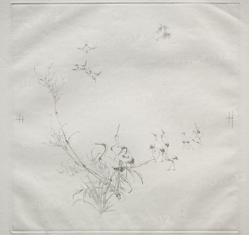 Parisian Service (Haviland service): The Moon (no. 5), 1875. Félix Bracquemond (French, 1833-1914). Etching; sheet: 31 x 45 cm (12 3/16 x 17 11/16 in.); platemark: 25 x 25 cm (9 13/16 x 9 13/16 in.)