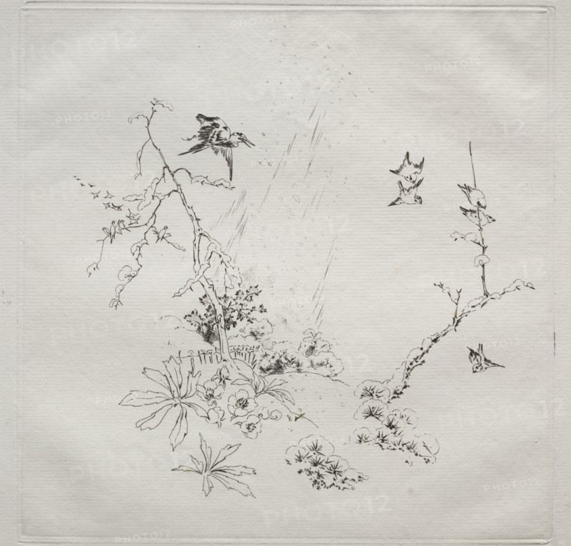 Parisian Service (Haviland service): Snow (no. 6), 1875. Félix Bracquemond (French, 1833-1914). Etching; sheet: 31.3 x 45.2 cm (12 5/16 x 17 13/16 in.); platemark: 25.4 x 25.2 cm (10 x 9 15/16 in.).
