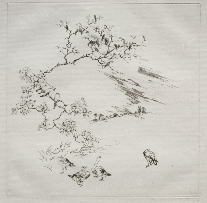 Parisian Service (Haviland service): Night (no. 7), 1875. Félix Bracquemond (French, 1833-1914). Etching; sheet: 31.4 x 45 cm (12 3/8 x 17 11/16 in.); platemark: 25.2 x 25.1 cm (9 15/16 x 9 7/8 in.)