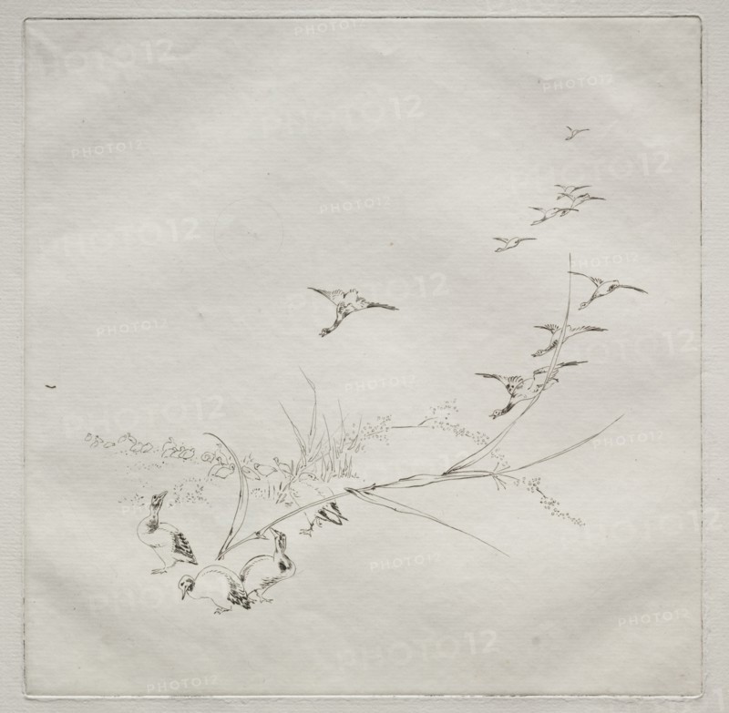 Parisian Service (Haviland service): Right in the sun (no. 9), 1875. Félix Bracquemond (French, 1833-1914). Etching; sheet: 31 x 44.4 cm (12 3/16 x 17 1/2 in.); platemark: 25.1 x 25.1 cm (9 7/8 x 9 7/8 in.)