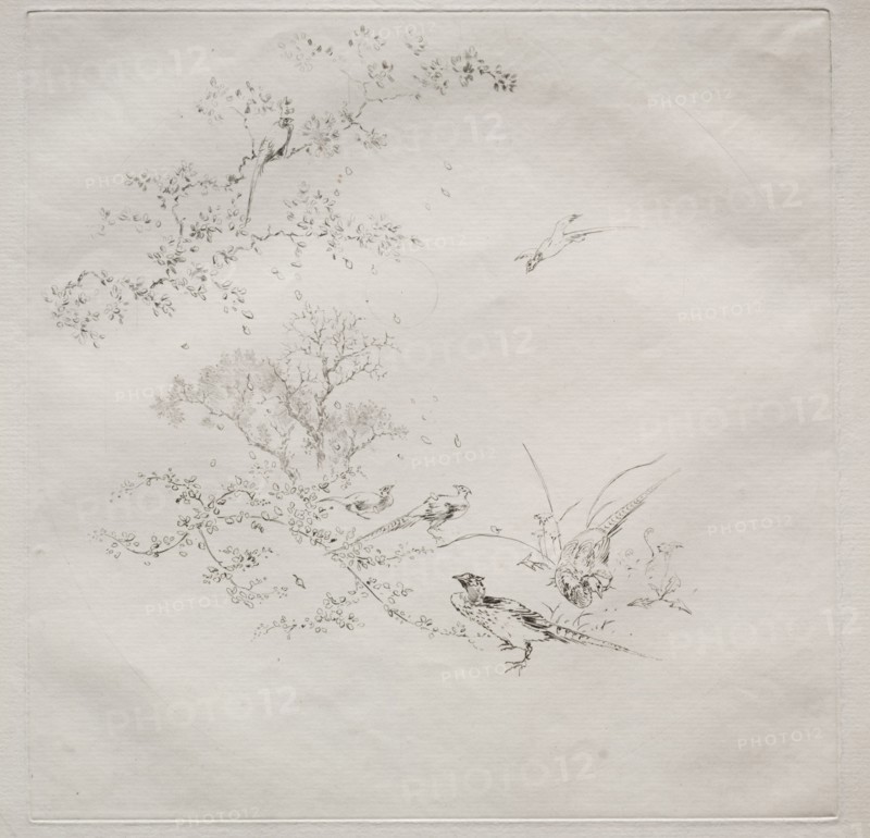Parisian Service (Haviland service), 1875. Félix Bracquemond (French, 1833-1914). Etching; sheet: 31.1 x 46 cm (12 1/4 x 18 1/8 in.); platemark: 24.8 x 24.8 cm (9 3/4 x 9 3/4 in.)
