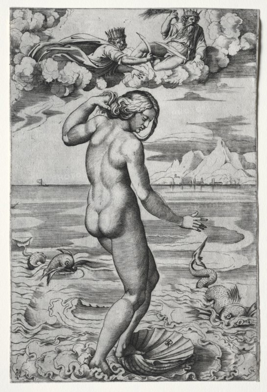 The Birth of Venus, c. 1516. Marco Dente (Italian, c. 1486-1527), after Raphael (Italian, 1483-1520). Engraving