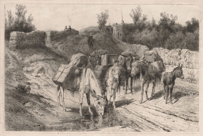 On the Road to Santa Fe. Peter Moran (American, 1841-1914). Etching