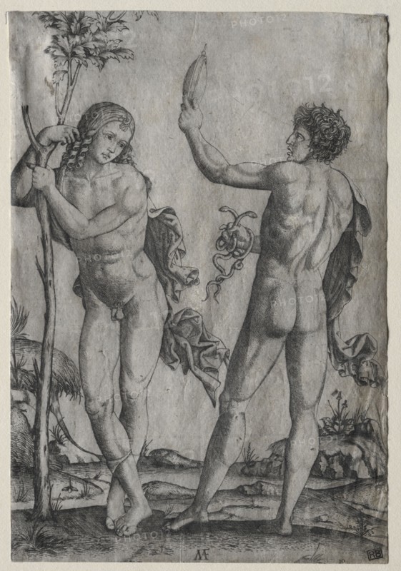 Two Nude Men Beside a Tree. Marcantonio Raimondi (Italian, 1470/82-1527/34). Engraving