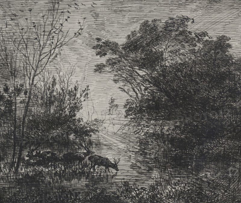 The Deer, 1862. Charles François Daubigny (French, 1817-1878). Cliché-verre plate; plate: 17.6 x 21 cm (6 15/16 x 8 1/4 in.)