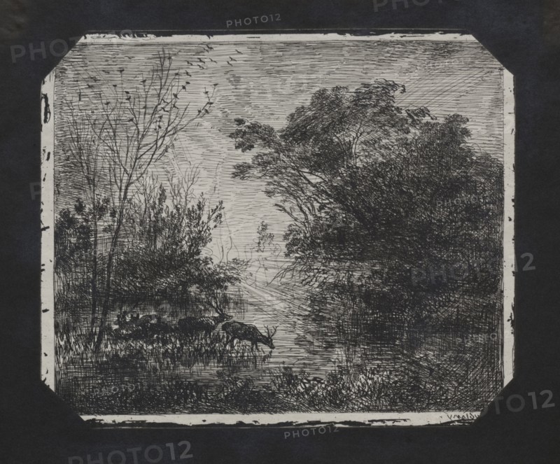 The Deer, 1862. Charles François Daubigny (French, 1817-1878). Cliché-verre plate; plate: 17.6 x 21 cm (6 15/16 x 8 1/4 in.)