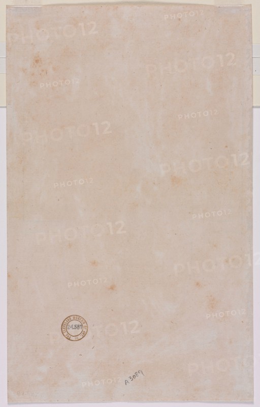Architectural Plan, mid 1500s. Luzio Romano (Italian, active 1528-75). Pen and ink; sheet: 32.1 x 20 cm (12 5/8 x 7 7/8 in.); secondary support: 32.1 x 20 cm (12 5/8 x 7 7/8 in.).