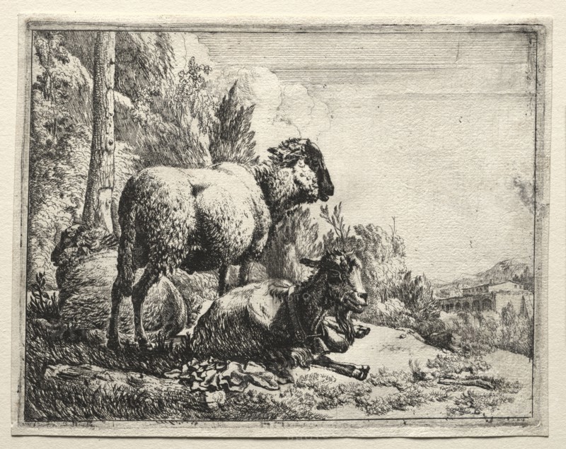 Goat with Bell, 1665. Johann Heinrich Roos (German, 1631-1685). Etching
