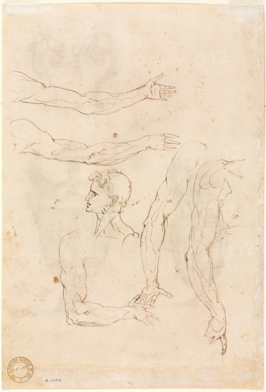 Sketches of Five Arms and a Head (verso), mid 1500s. Luzio Romano (Italian, active 1528-75). Pen and brown ink over black chalk; sheet: 31.6 x 21.6 cm (12 7/16 x 8 1/2 in.).