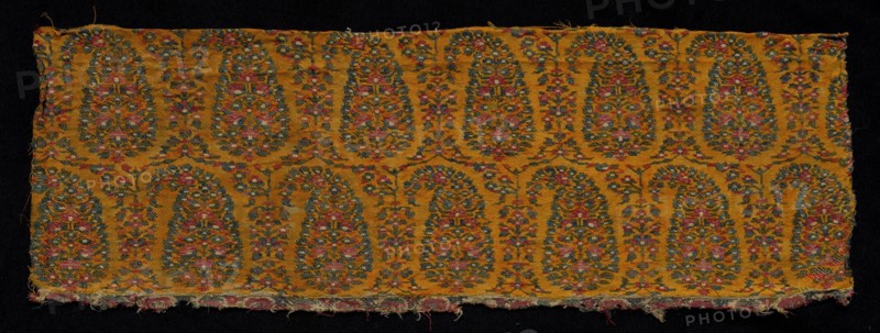 Fragment of a Shawl, 1800s. India, Kashmir, 19th century. Tapestry weave: wool; overall: 19 x 55.2 cm (7 1/2 x 21 3/4 in.)
