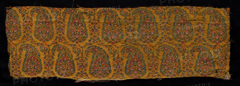 Fragment of a Shawl, 1800s. India, Kashmir, 19th century. Tapestry weave: wool; overall: 18 x 56.1 cm (7 1/16 x 22 1/16 in.)