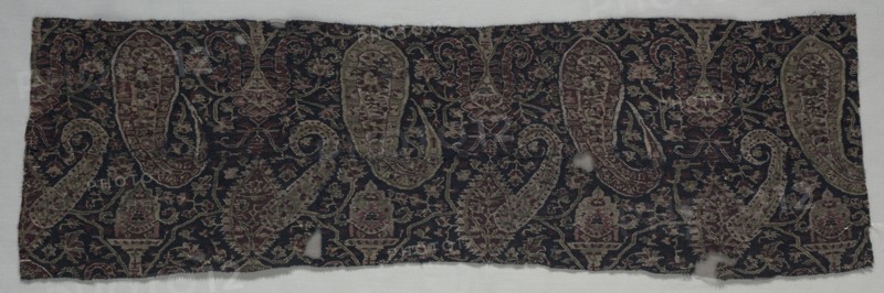 Fragment of a Shawl, 1800s. India, Punjab, 19th century. Tapestry twill; wool; overall: 25.4 x 80 cm (10 x 31 1/2 in.).
