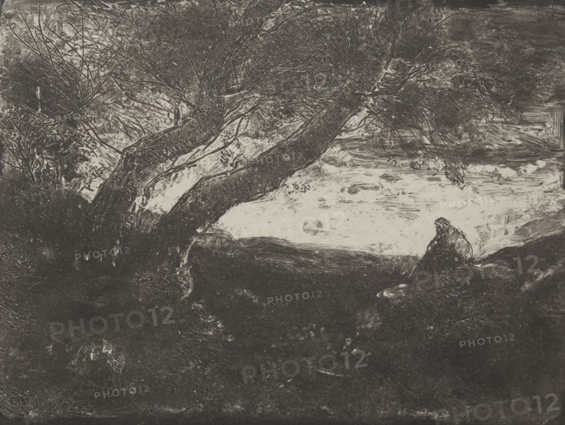 The Dreamer, original impression 1854, printed in 1921. Jean Baptiste Camille Corot (French, 1796-1875), M. Le Garrec. Cliché-verre; sheet: 16.8 x 21.4 cm (6 5/8 x 8 7/16 in.); image: 15 x 19.9 cm (5 7/8 x 7 13/16 in.)