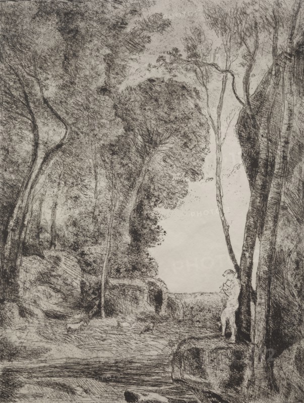 The Little Shepherd, original impression 1855, printed in 1921. Jean Baptiste Camille Corot (French, 1796-1875). Cliché-verre; sheet: 35.6 x 28 cm (14 x 11 in.); image: 32.4 x 24.5 cm (12 3/4 x 9 5/8 in.)