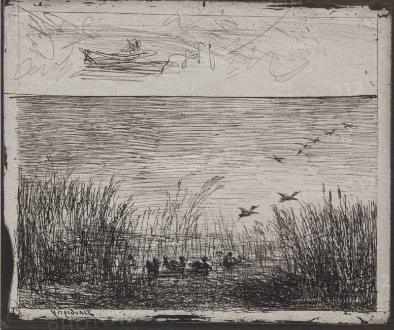 Swamp with Ducks, original impression 1862, printed in 1921. Charles François Daubigny (French, 1817-1878). Cliché-verre; sheet: 17.1 x 20.5 cm (6 3/4 x 8 1/16 in.).