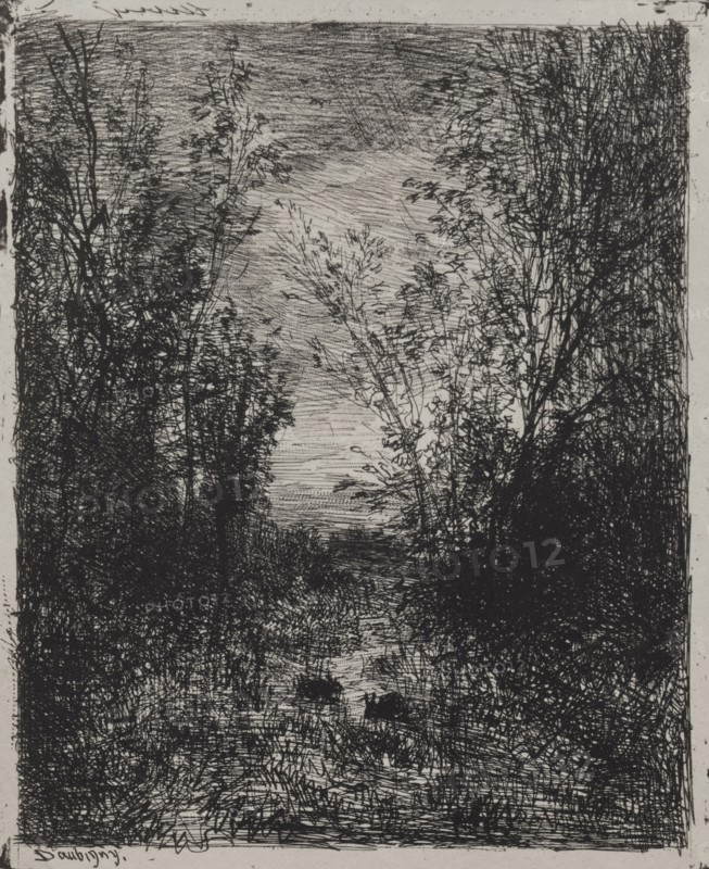 A Stream in a Glade, original impression 1862, printed in 1921. Charles François Daubigny (French, 1817-1878). Cliché-verre; sheet: 20.9 x 17.1 cm (8 1/4 x 6 3/4 in.); platemark: 20 x 16.5 cm (7 7/8 x 6 1/2 in.)