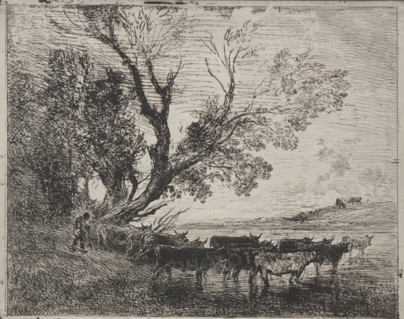 The Ford, original impression 1862, printed in 1921. Charles François Daubigny (French, 1817-1878). Cliché-verre; sheet: 29.5 x 36.5 cm (11 5/8 x 14 3/8 in.)