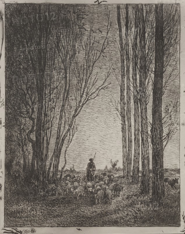 Gathering in the Flock, original impression 1862, printed in 1921. Charles François Daubigny (French, 1817-1878). Cliché-verre; sheet: 36.3 x 29 cm (14 5/16 x 11 7/16 in.)