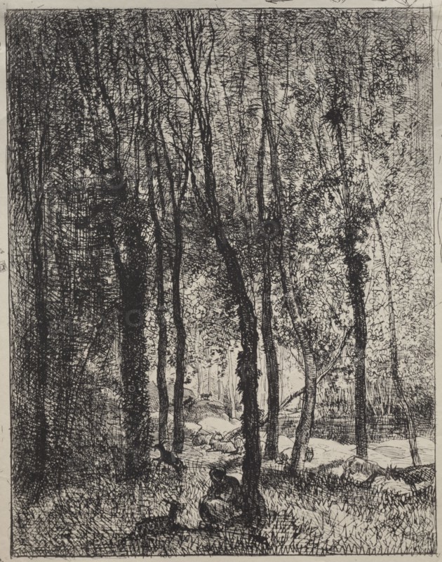 The Goatherd Girl, original impression 1862, printed in 1921. Charles François Daubigny (French, 1817-1878). Cliché-verre; sheet: 36.2 x 28.9 cm (14 1/4 x 11 3/8 in.); platemark: 34.4 x 26.7 cm (13 9/16 x 10 1/2 in.).