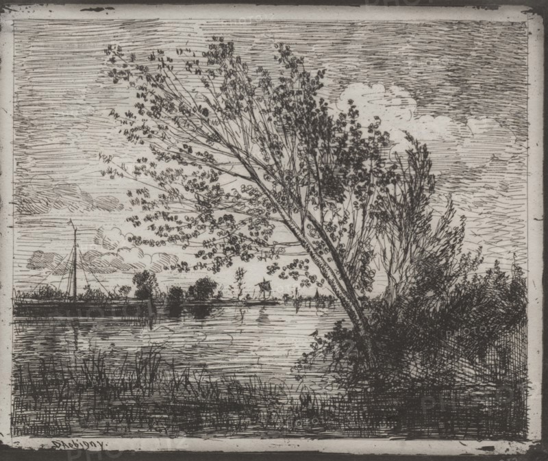 The cliché-verre was reproduced in les "Grands Peintres-Graveurs depuis Rembrandt jusqu'à Whistler" in a special issue of "Studio" published in 1913-14.: A Cluster of Alders, original impression 1862, printed in 1921. Charles François Daubigny (French, 1817-1878). Cliché-verre; sheet: 17.3 x 20.6 cm (6 13/16 x 8 1/8 in.); platemark: 16.4 x 20 cm (6 7/16 x 7 7/8 in.)