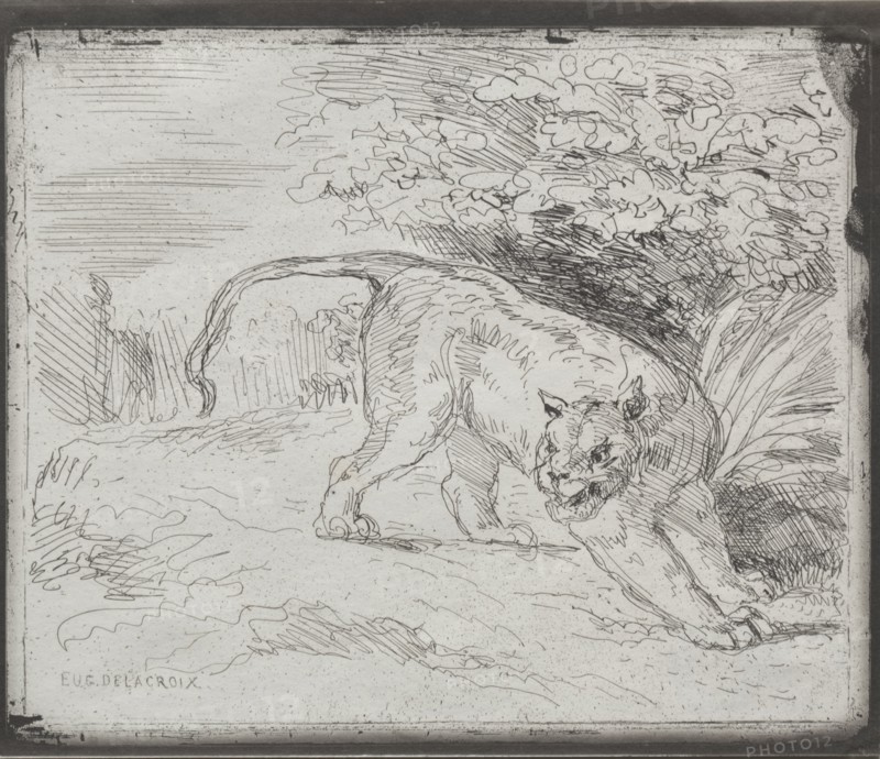 A Trapped Tiger, 1854. Eugène Delacroix (French, 1798-1863). Cliché-verre