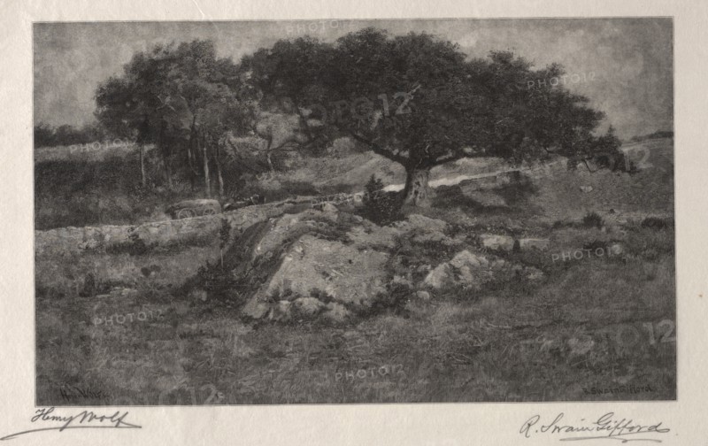 The Roadside. Henry Wolf (American, 1852-1916). Wood engraving