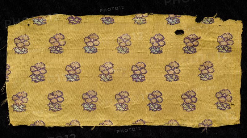 Fragment, 1800s. India, 19th century. Brocade; silk ground with silk and gold thread; overall: 8.9 x 19.1 cm (3 1/2 x 7 1/2 in.).