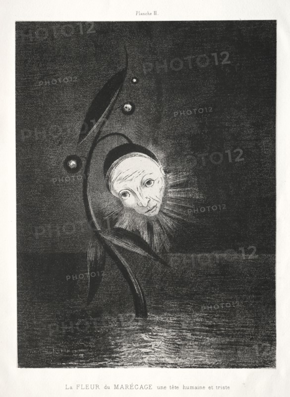 Homage to Goya:  The Marsh Flower and a Human and Sad Head, 1885. Odilon Redon (French, 1840-1916). Lithograph; image: 27.5 x 20.5 cm (10 13/16 x 8 1/16 in.)