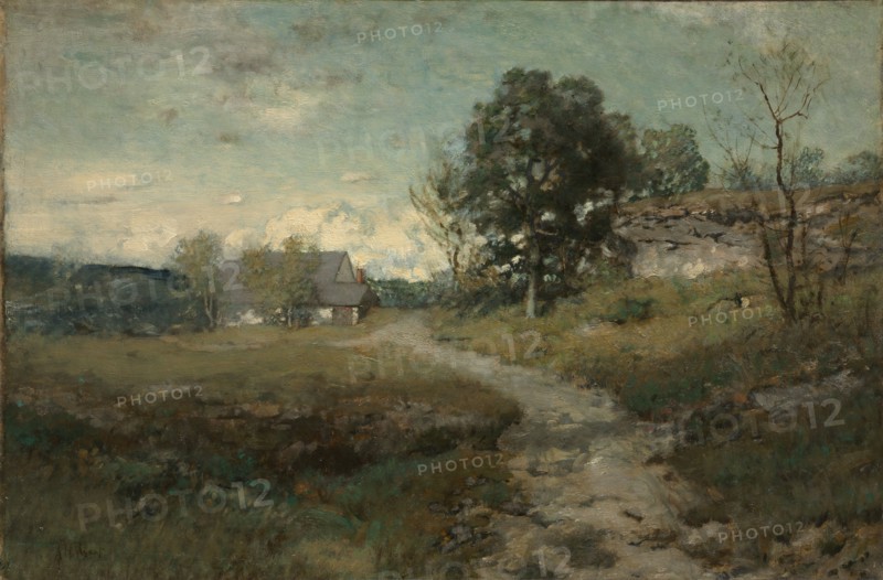 Arkville Landscape, 1880s. Alexander H. Wyant (American, 1836-1892). Oil on canvas; unframed: 41.4 x 62 cm (16 5/16 x 24 7/16 in.).