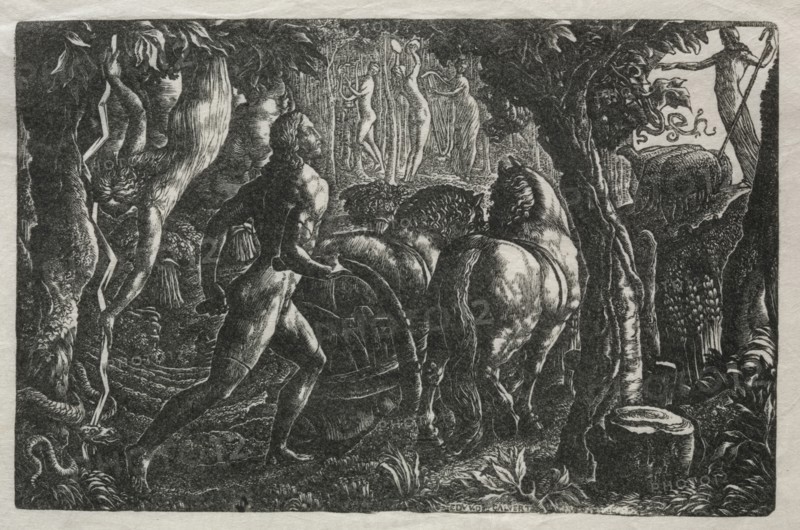 The Ploughman, 1829. Edward Calvert (British, 1799-1883). Wood engraving