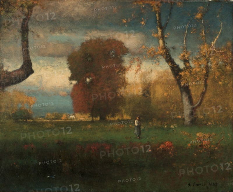 Landscape, 1888. George Inness (American, 1825-1894). Oil on canvas; framed: 79.5 x 92 x 6 cm (31 5/16 x 36 1/4 x 2 3/8 in.); unframed: 56.2 x 70 cm (22 1/8 x 27 9/16 in.).