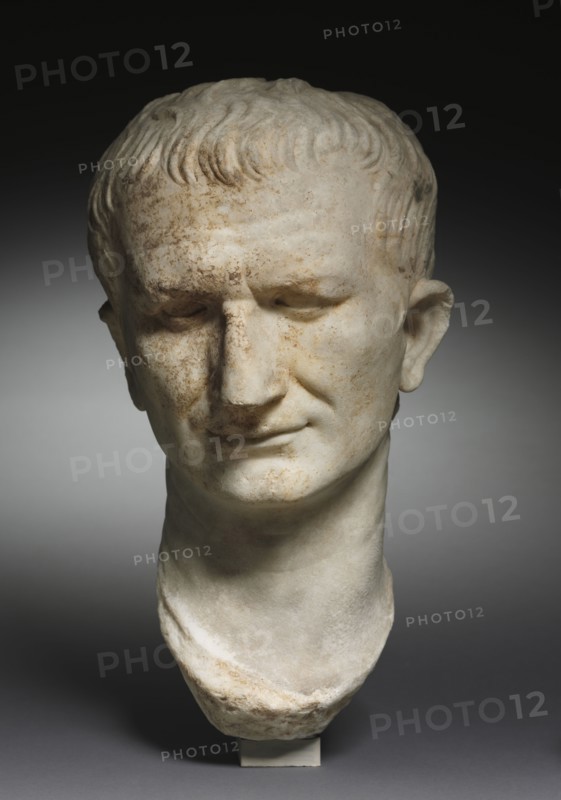 Portait Head of a Statesman, possibly Vespasian, 1-100. Italy, Roman, 1st Century. Marble; overall: 40 x 21.6 x 24.9 cm (15 3/4 x 8 1/2 x 9 13/16 in.).