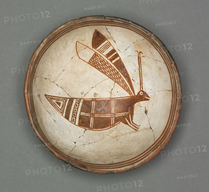 Bowl with Grasshopper, c 1000-1150. Southwest, Mogollan, Mimbres, Pre-Contact Period, 11th-12th century. Ceramic; overall: 8 x 18.8 cm (3 1/8 x 7 3/8 in.).