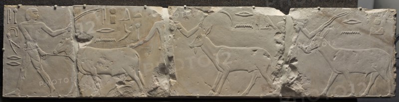Relief of Men Bringing Desert Animals, c. 2311-2281 BC. Egypt, Saqqara, Old Kingdom, Early Dynasty 6, 2311-2140 BC. Limestone; overall: 36.5 x 161.2 cm (14 3/8 x 63 7/16 in.).