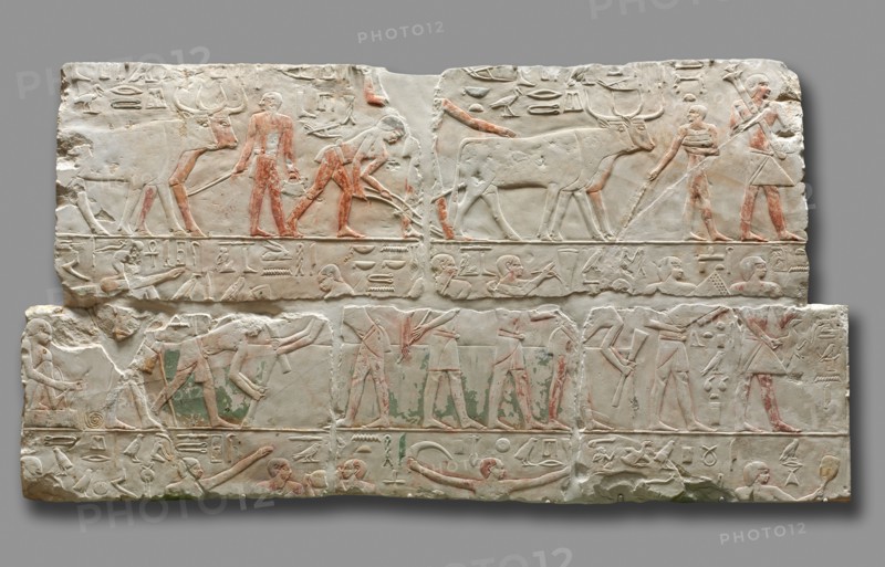 Relief of Agricultural Scenes, c. 2311-2281. Egypt, Saqqara, Old Kingdom, early Dynasty 6, 2311-2140 BC. Painted limestone; overall: 92.5 x 173.8 cm (36 7/16 x 68 7/16 in.).