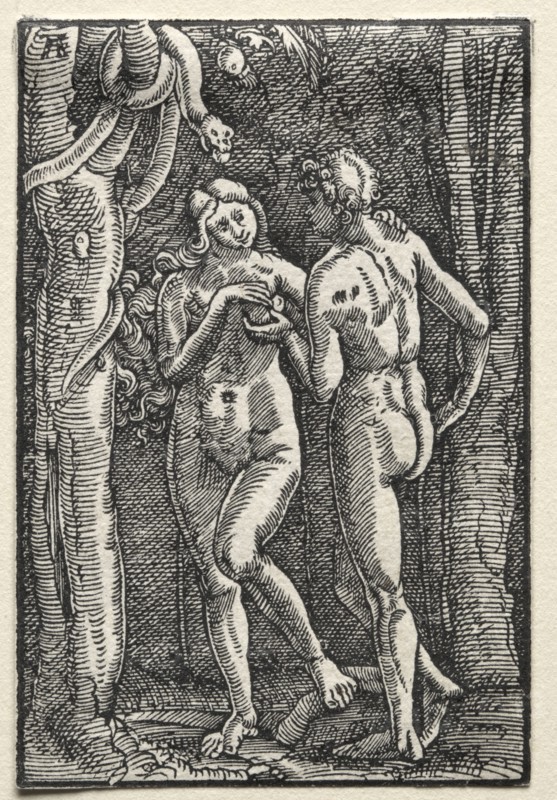 The Fall and Redemption of Man:  Adam and Eve Eating the Forbidden Fruit, c. 1515. Albrecht Altdorfer (German, c. 1480-1538). Woodcut