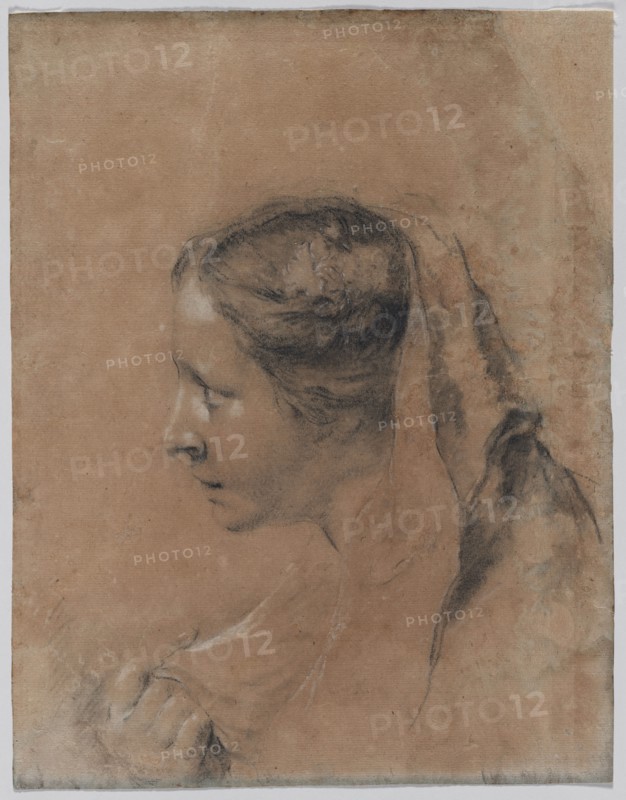 Head of a Woman in Profile with a Scarf. Giovanni Battista Piazzetta (Italian, 1682-1754). Black chalk, stumped, heightened with white chalk and gypsum; sheet: 40 x 31.2 cm (15 3/4 x 12 5/16 in.).