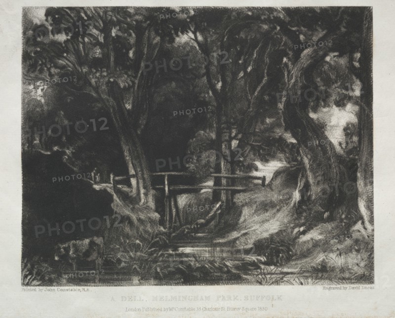 Various Subjects of Landscape, Characteristic of English Scenery from Pictures Painted by John Constable, R.A.:  Dell in the Woods of Helmingham Park, Suffolk, 1830. David Lucas (British, 1802-1881), after John Constable (British, 1776-1837). Mezzotint