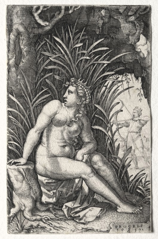 Procris, 1539. Georg Pencz (German, c. 1500-1550). Engraving