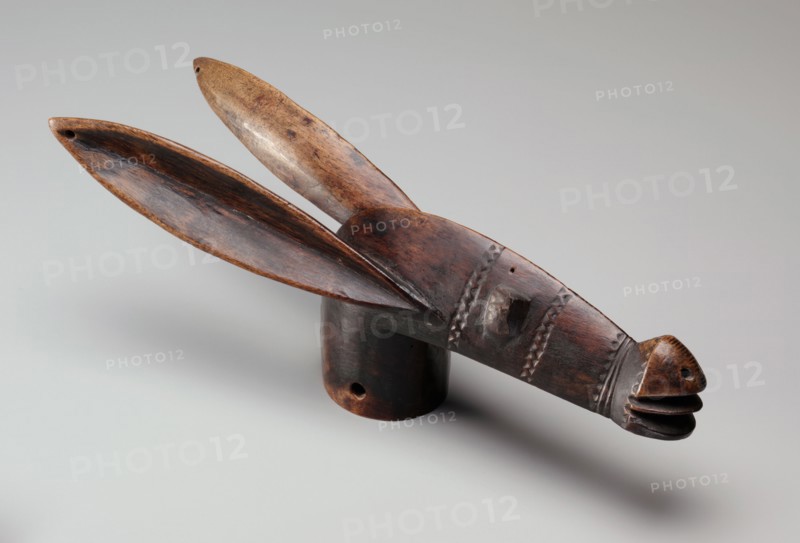 Head of a Hobbyhorse, late 1800s-early 1900s. Western Sudan, Mali, Bamana, late 19th-early 20th century. Wood, metal; overall: 40.7 cm (16 in.)