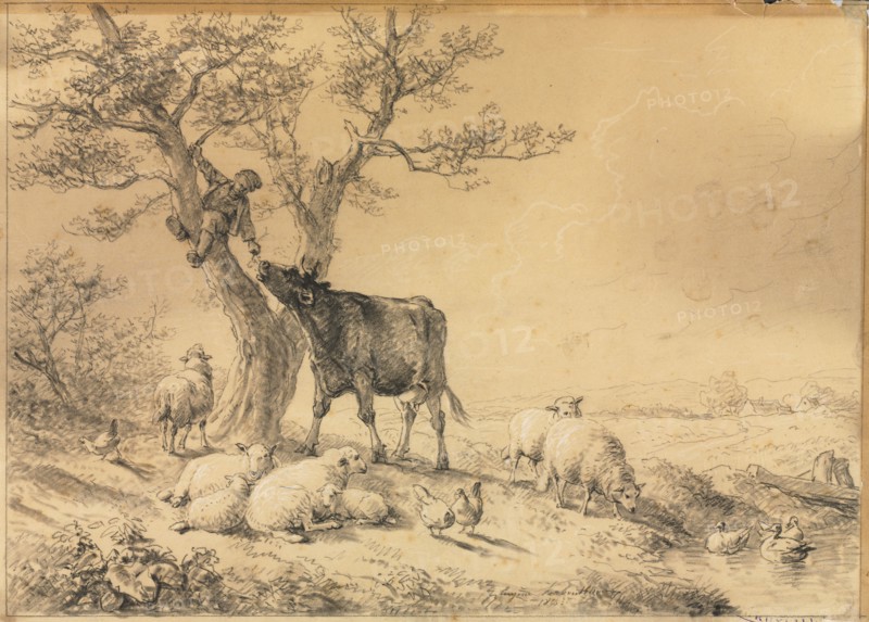 Landscape with Animals and Boy in Tree, 1866. Eugène Joseph Verboeckhoven (Belgian, 1798-1881). Black chalk or crayon (extended with water in places) and brush and gray and black wash, heightened with white chalk; framing lines in black chalk; sheet: 29.3 x 41.1 cm (11 9/16 x 16 3/16 in.); image: 28.6 x 39.8 cm (11 1/4 x 15 11/16 in.).
