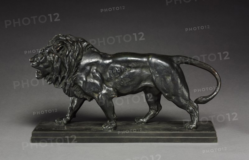 Walking Lion, after 1836. Antoine-Louis Barye (French, 1796-1875). Bronze; overall: 22.3 x 40.6 cm (8 3/4 x 16 in.); base: 10.4 cm (4 1/8 in.)