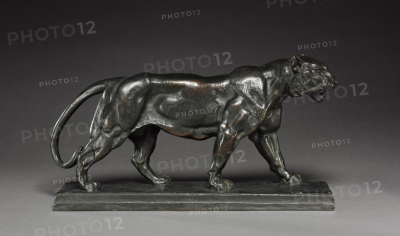 Walking Tiger, c. 1836. Antoine-Louis Barye (French, 1796-1875). Bronze; overall: 21 x 40.3 cm (8 1/4 x 15 7/8 in.)